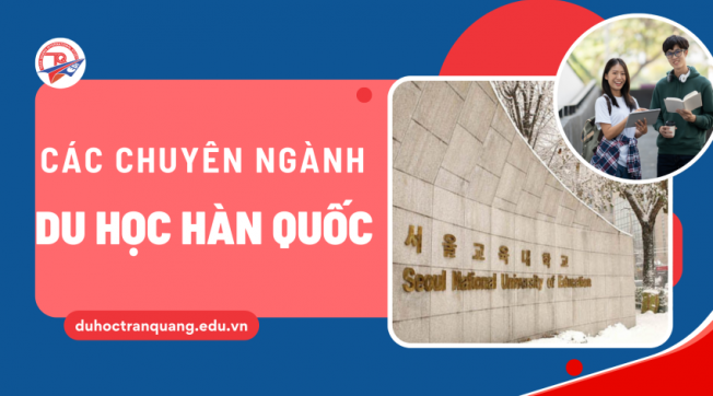 Top các chuyên ngành du học Hàn Quốc tốt nhất cho sinh viên quốc tế